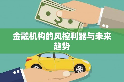 凌河金融机构的风控利器与未来趋势