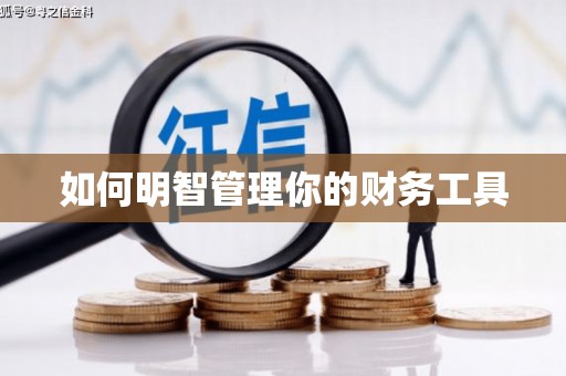凌河如何明智管理你的财务工具