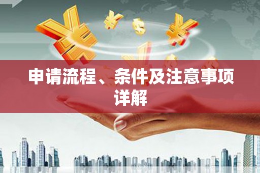 凌河申请流程、条件及注意事项详解
