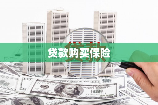 凌河贷款购买保险