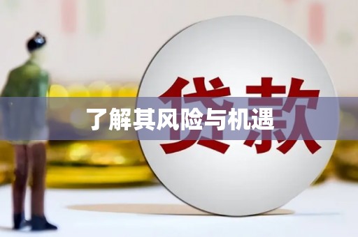 凌河了解其风险与机遇