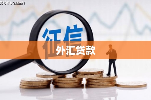 凌河外汇贷款