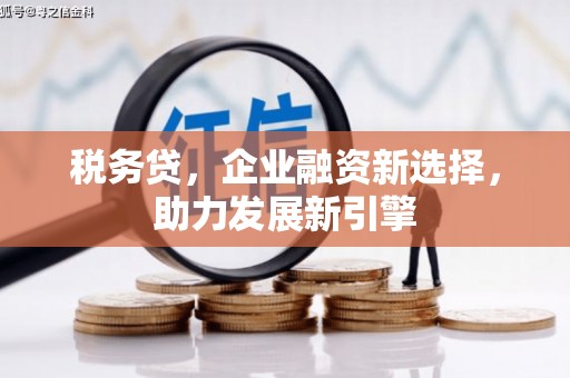 凌河税务贷，企业融资新选择，助力发展新引擎