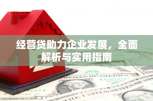 凌河经营贷助力企业发展，全面解析与实用指南