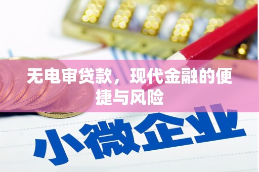 凌河无电审贷款，现代金融的便捷与风险