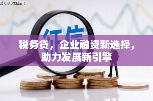 凌河税务贷，企业融资新选择，助力发展新引擎