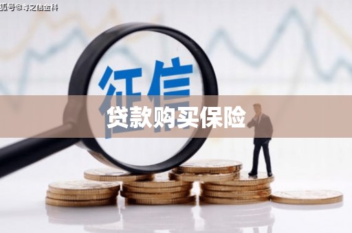 凌河贷款购买保险