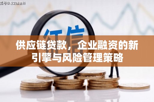 凌河供应链贷款，企业融资的新引擎与风险管理策略
