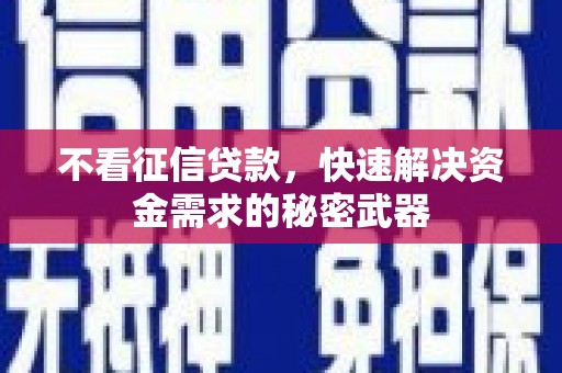 凌河不看征信贷款，快速解决资金需求的秘密武器