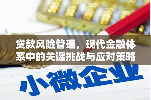 凌河贷款风险管理，现代金融体系中的关键挑战与应对策略