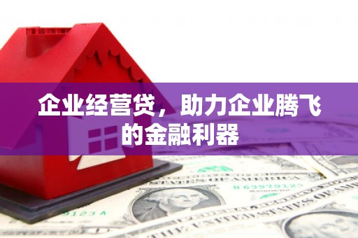 凌河企业经营贷，助力企业腾飞的金融利器