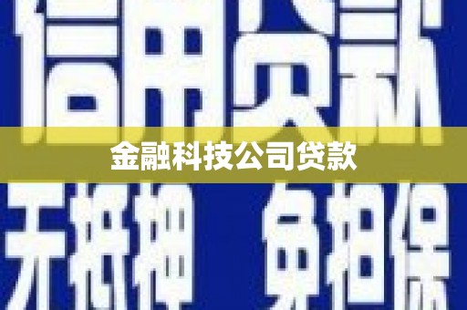 凌河金融科技公司贷款
