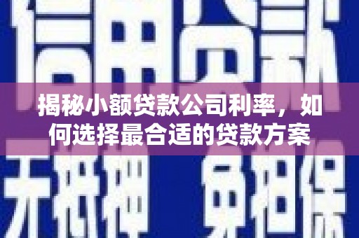 凌河揭秘小额贷款公司利率，如何选择最合适的贷款方案