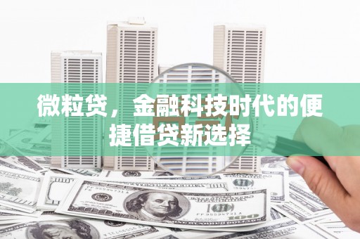 凌河微粒贷，金融科技时代的便捷借贷新选择