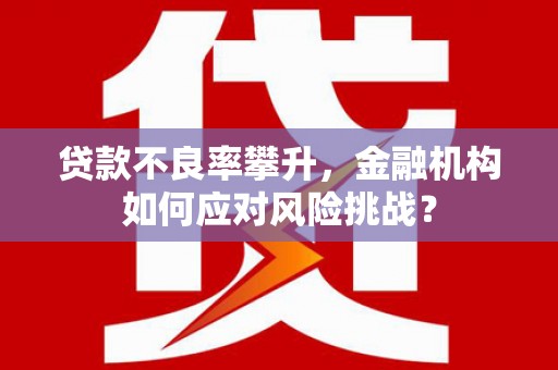 凌河贷款不良率攀升，金融机构如何应对风险挑战？
