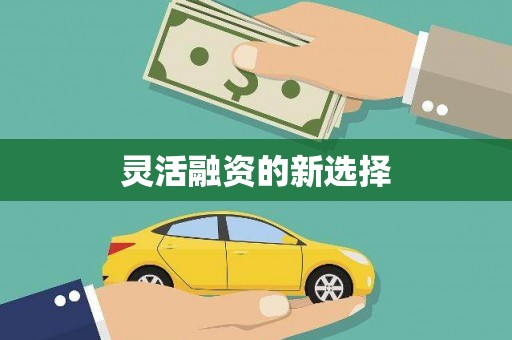 凌河灵活融资的新选择