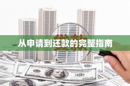凌河从申请到还款的完整指南