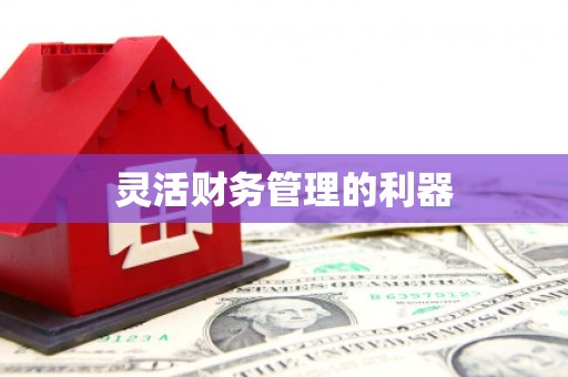 凌河灵活财务管理的利器