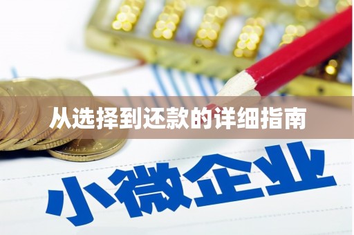 凌河从选择到还款的详细指南