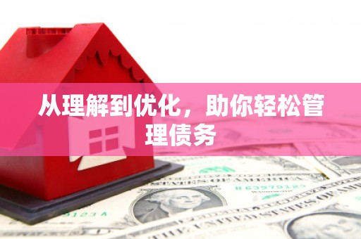凌河从理解到优化，助你轻松管理债务