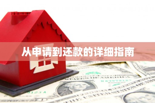 凌河从申请到还款的详细指南