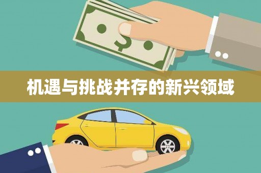 凌河机遇与挑战并存的新兴领域