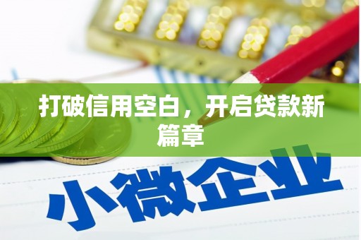 凌河打破信用空白，开启贷款新篇章